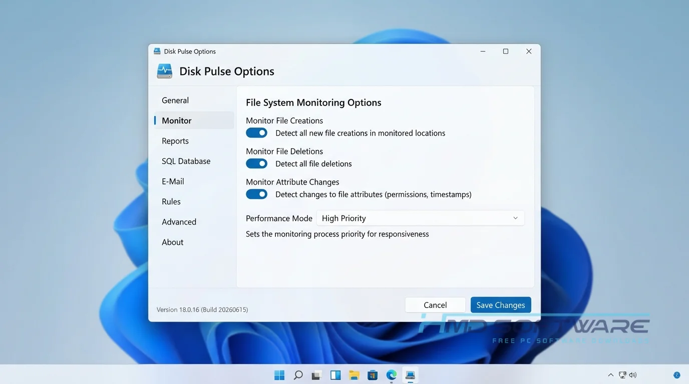 Disk Pulse 2026 settings window UI by HMD Software